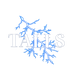 TALLS.STORE - Home